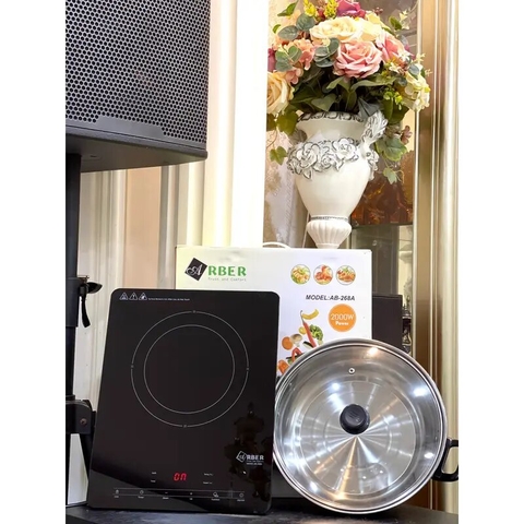 Bếp từ đơn Arber AB268A