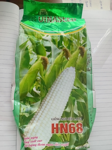 Hạt giống Ngô, bắp  Nếp Lai HN 68 Mới Dẻo Ngọt Bông To gói 500gr