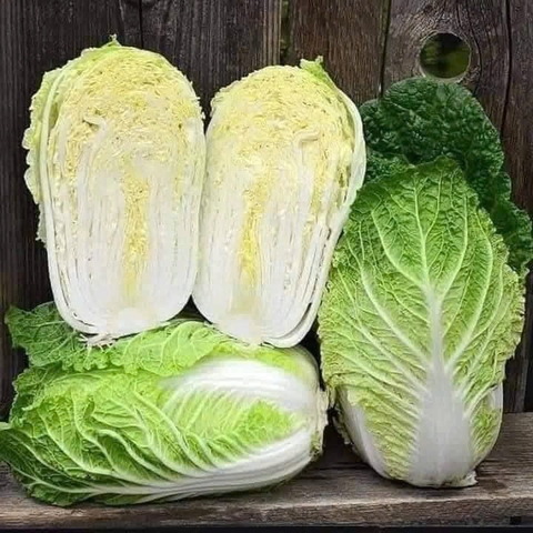 Hạt giống rau Cải Thảo chịu nhiệt