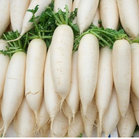 Hạt Giống Củ Cải Trắng Dễ Trồng gói 20gr