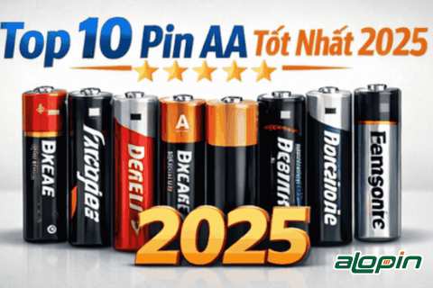 Top 10 Pin AA 2025