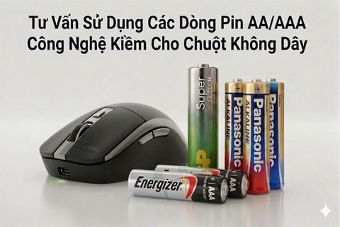Tư Vấn Sử Dụng Các Dòng Pin AA/AAA Công Nghệ Kiềm Cho Chuột Không Dây Tối Ưu Nhất