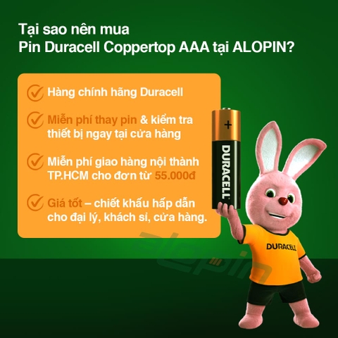 Pin Duracell Coppertop Alkaline AAA 1.5V (Vỉ 2 Viên) – Chính Hãng