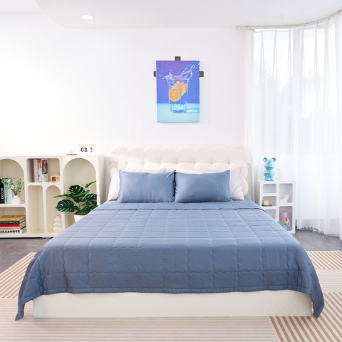 Bộ ga chun Goodnight Airsilk 3CT màu xanh than