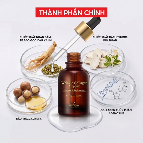 T29 Tinh chất collagen giúp giảm nhăn và săn chắc da Wrinkle Collagen Ampoule - The Skin House