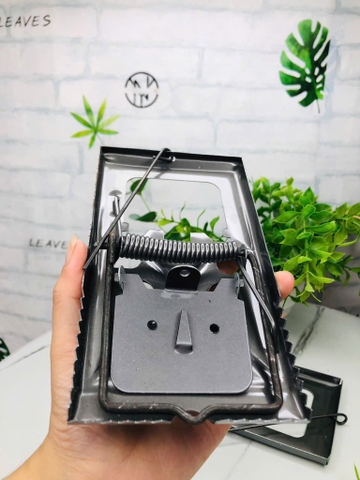 BẪY CHUỘT BẰNG SẮT TRUYỀN THỐNG (1)