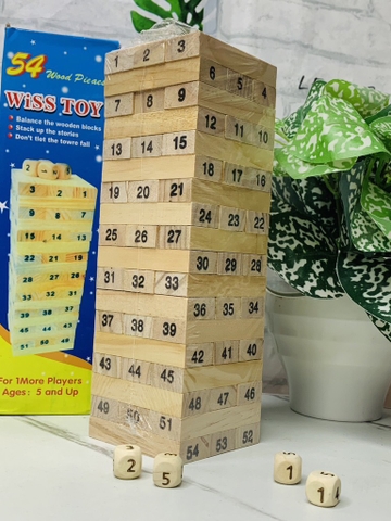 ĐỒ CHƠI RÚT GỖ 54 THANH LOẠI LỚN (3)