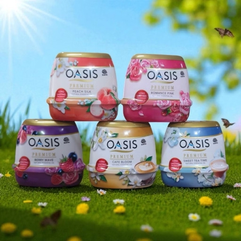 Sáp Thơm OASIS Chính Hãng 200g Hương Trái Cây (4)