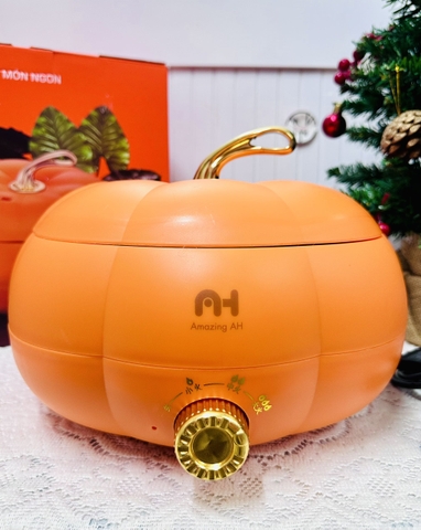 NỒI HẦM ĐIỆN HÌNH TRÁI BÍ LOẠI TO 5L (20)