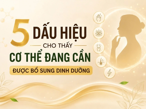 5 DẤU HIỆU CHO THẤY CƠ THỂ ĐANG CẦN ĐƯỢC BỔ SUNG DINH DƯỠNG