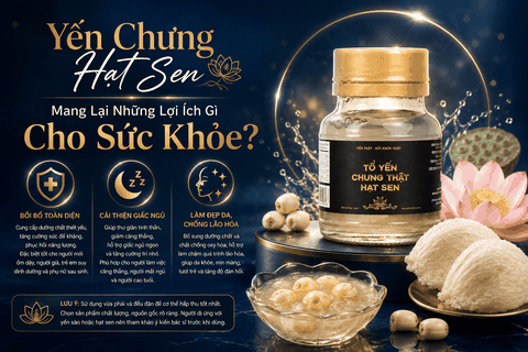 Yến Chưng Hạt Sen Mang Lại Những Lợi Ích Gì Cho Sức Khỏe?