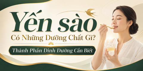 Tổ Yến Có Những Dưỡng Chất Gì? Thành Phần Dinh Dưỡng Cần Biết