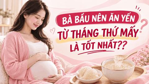 MẸ BẦU NÊN ĂN YẾN TỪ THÁNG THỨ MẤY LÀ TỐT NHẤT? NHỮNG LƯU Ý CHO MẸ BẦU KHI ĂN YẾN