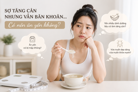 ĂN YẾN SÀO CÓ TĂNG CÂN KHÔNG? CÂU TRẢ LỜI CÓ THỂ KHIẾN BẠN BẤT NGỜ