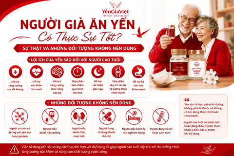 Người Già Ăn Yến Có Thực Sự Tốt? Sự Thật Và Những Đối Tượng Không Nên Dùng