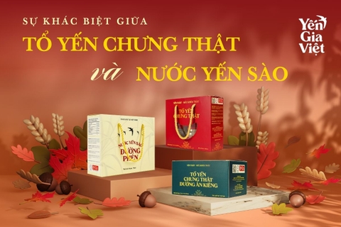Tổ yến chưng Thật & Nước yến sào: Đâu là sự khác biệt?