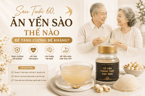 Sau Tuổi 60, Ăn Yến Sào Thế Nào Để Tăng Cường Đề Kháng?