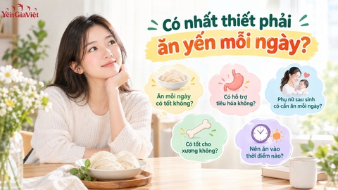 Có nhất thiết phải ăn yến mỗi ngày?