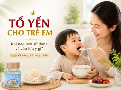 TỔ YẾN CHO TRẺ EM: KHI NÀO NÊN SỬ DỤNG VÀ CẦN LƯU Ý GÌ?