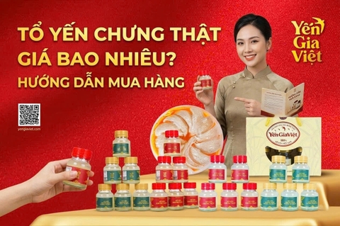 Tổ Yến Chưng Thật Giá Bao Nhiêu? Hướng Dẫn Mua Hàng
