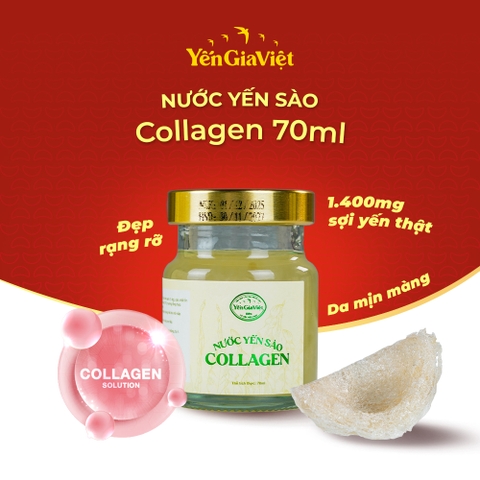 Set 6 hũ nước yến sào Collagen Yến Gia Việt giúp hạn chế lão hóa da, tăng độ đàn hồi, săn chắc da - hũ 70ml