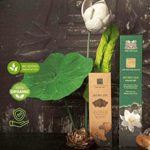 Nhang Sen Sinh Học Đồng Tháp – Sạch Tự Nhiên, Mùi Thơm Thanh Khiết, An Toàn Cho Sức Khỏe