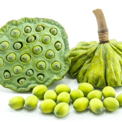 Đài Sen Tươi (Gương Sen) Đồng Tháp – Hạt Giòn Ngọt, Thanh Mát, Hái Giao Trong Ngày