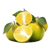 Cam Xoàn Đồng Tiền Lai Vung Chính Gốc – Vỏ Mỏng, Bao Ngọt Từng Trái