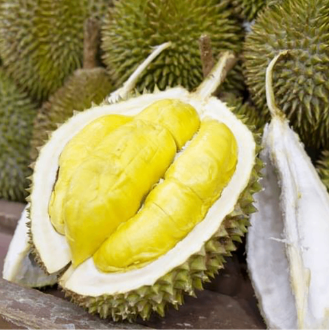 Sầu Riêng Ngũ Hiệp Tiền Giang Loại 1 – Cơm Vàng Hạt Lép, Sữa Béo Ngậy, Chín Cây Tự Nhiên