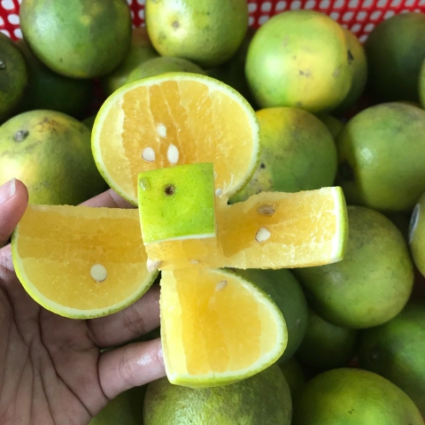 Cam Xoàn Lai Vung (Ngọt đậm)