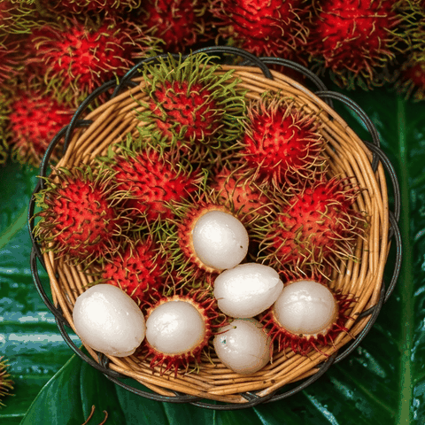 Chôm Chôm Java Hái Tại Vườn – Chuẩn VietGAP, Tươi Ngon Mọng Nước, Giá Gốc