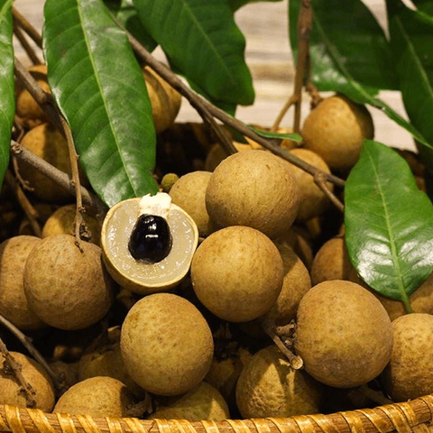 Nhãn Xuồng Cơm Vàng Loại 1 – Hái Tại Vườn Châu Thành, Giòn Sần Sật, Chuẩn VietGAP