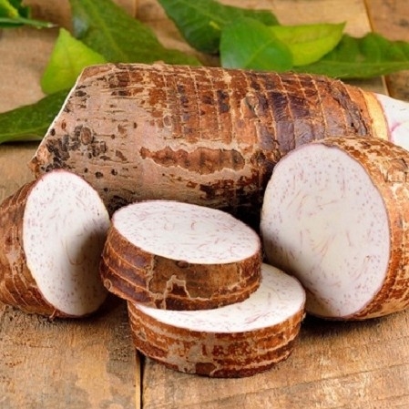 Khoai Môn Cao Lãnh