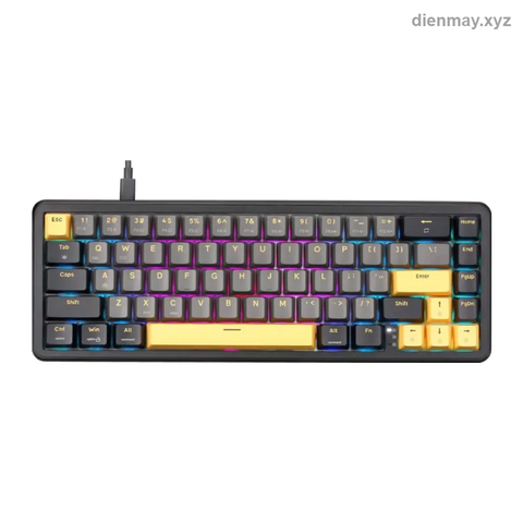 Bàn phím cơ có dây E-Dra EK368HE Magnetic Switch (67 phím, Gasket, RGB) - Game thủ muốn trải nghiệm bàn phím switch từ tính giá rẻ
