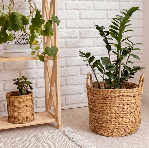 Gia dụng - đời sống