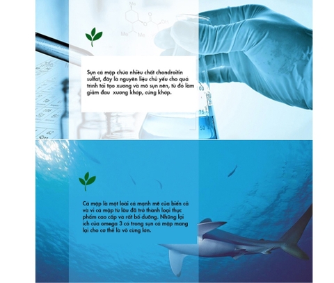 Sụn vi cá Healthy Care shark cartilage 750mg hỗ trợ xương khớp hộp 200 viên