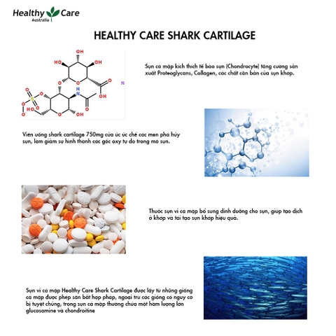Sụn vi cá Healthy Care shark cartilage 750mg hỗ trợ xương khớp hộp 200 viên