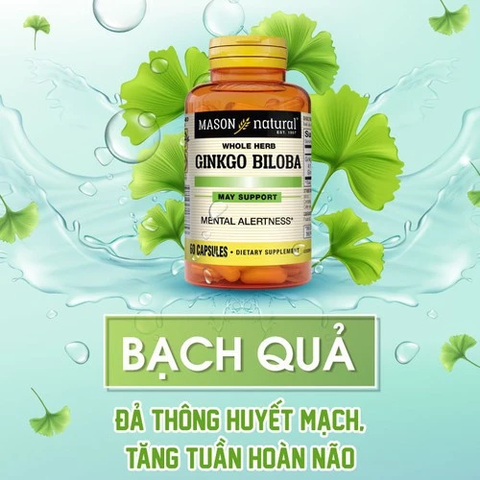 Mason Natural Ginkgo Biloba – Hỗ trợ tăng cường sức khỏe não bộ, cải thiện trí nhớ 60 viên