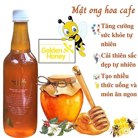 Mật ong hoa cà phê golden honey nguyên chất dinh dưỡng cho cả nhà chai 500ml