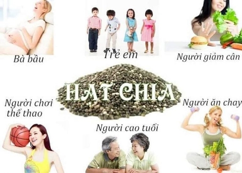 Hạt chia Healthy Nuts & Seeds Organic Chia Seeds 500gr