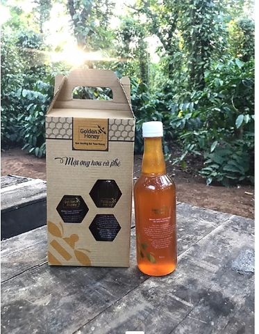 Mật ong hoa cà phê golden honey nguyên chất dinh dưỡng cho cả nhà chai 500ml