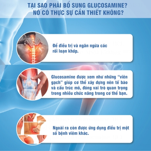 Thực phẩm bảo vệ sức khỏe Signature Glucosamine HCL With MSM hỗ trợ xương khớp hộp 375 viên