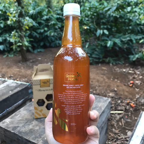 Mật ong hoa cà phê golden honey nguyên chất dinh dưỡng cho cả nhà chai 500ml