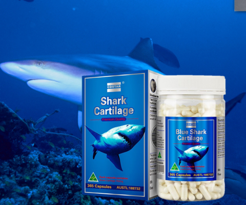 Sụn cá mập costar blue shark cartilage 750mg 365 viên giảm đau nhức xương khớp