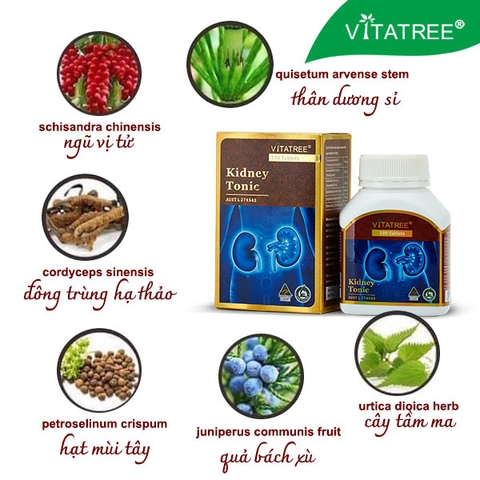 Bổ thận vitatree kindey tonic 100 tablets tăng cường chức năng thận, tráng dương hỗ trợ sinh lý nam