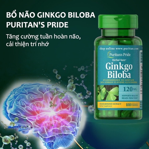 Bổ não puritan's pride ginkgo biloba 120mg tăng lưu thông máu não tăng cường trí nhớ 100 viên