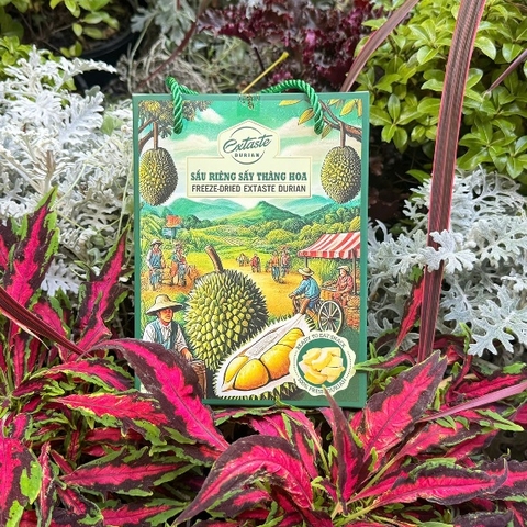 Sầu riêng sấy thăng hoa Freeze Dried Extaste Durian 100g Ready to eat Snack
