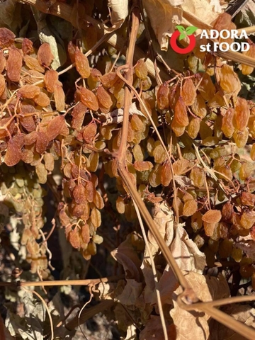Nho khô nguyên cành Adora st Food Dried Grapes Cluster Thompson  7kg