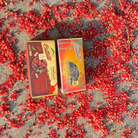 Chà là khô nguyên cành Extaste Dates Tunisia dates on branch tốt cho sức khỏe hộp 500g (12 hộp/thùng)