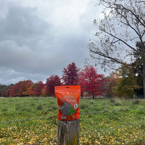 Hạt chia hữu cơ Úc Organic Chia Seed Nature Superfood gói 1kg